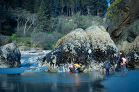 Pacific-Coast--10