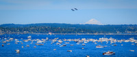 Seafair-Blue-Angels-7153