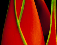Abstract Nature
