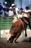Sample-Gallery-Rodeo