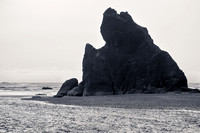 Pacific-Coast--19