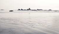 Pacific-Coast--7